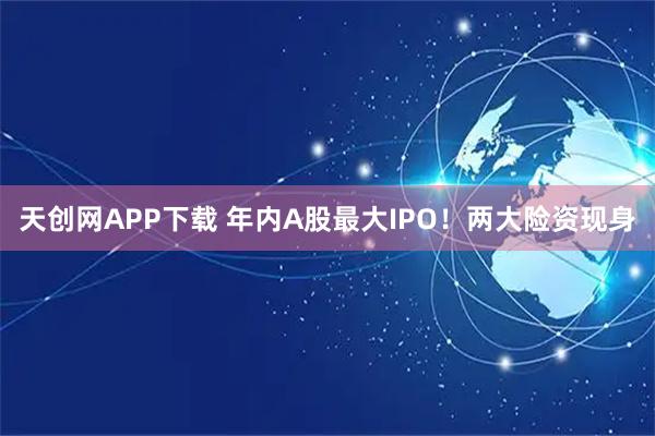 天创网APP下载 年内A股最大IPO！两大险资现身